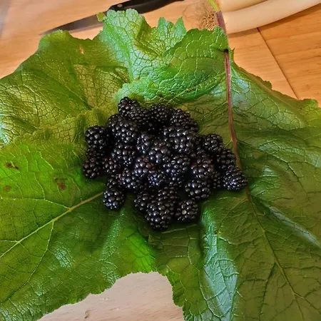 Sechoir_28 * Hastiere-par-dela